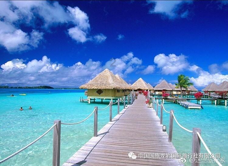 动物帮帮忙保卫家园